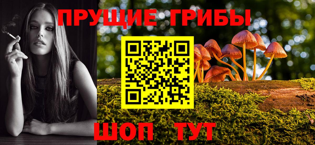 Армавир  Галлюциногенные грибы прущие грибы  Вход с VPN  Галлюциногенные грибы Cubensis 